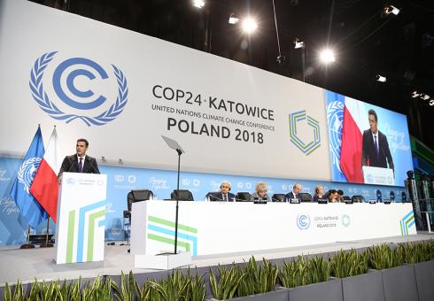 COP24_WEB.jpg 